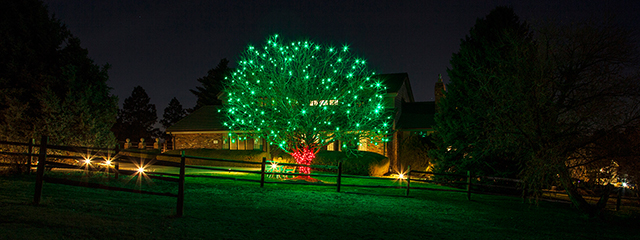 Outdoor Christmas Lights  Christmas Light Installation 